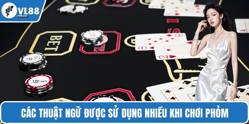 Các thuật ngữ được sử dụng nhiều khi chơi phỏm