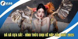 Đá gà cựa sắt