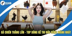 Gà chiến thắng lớn